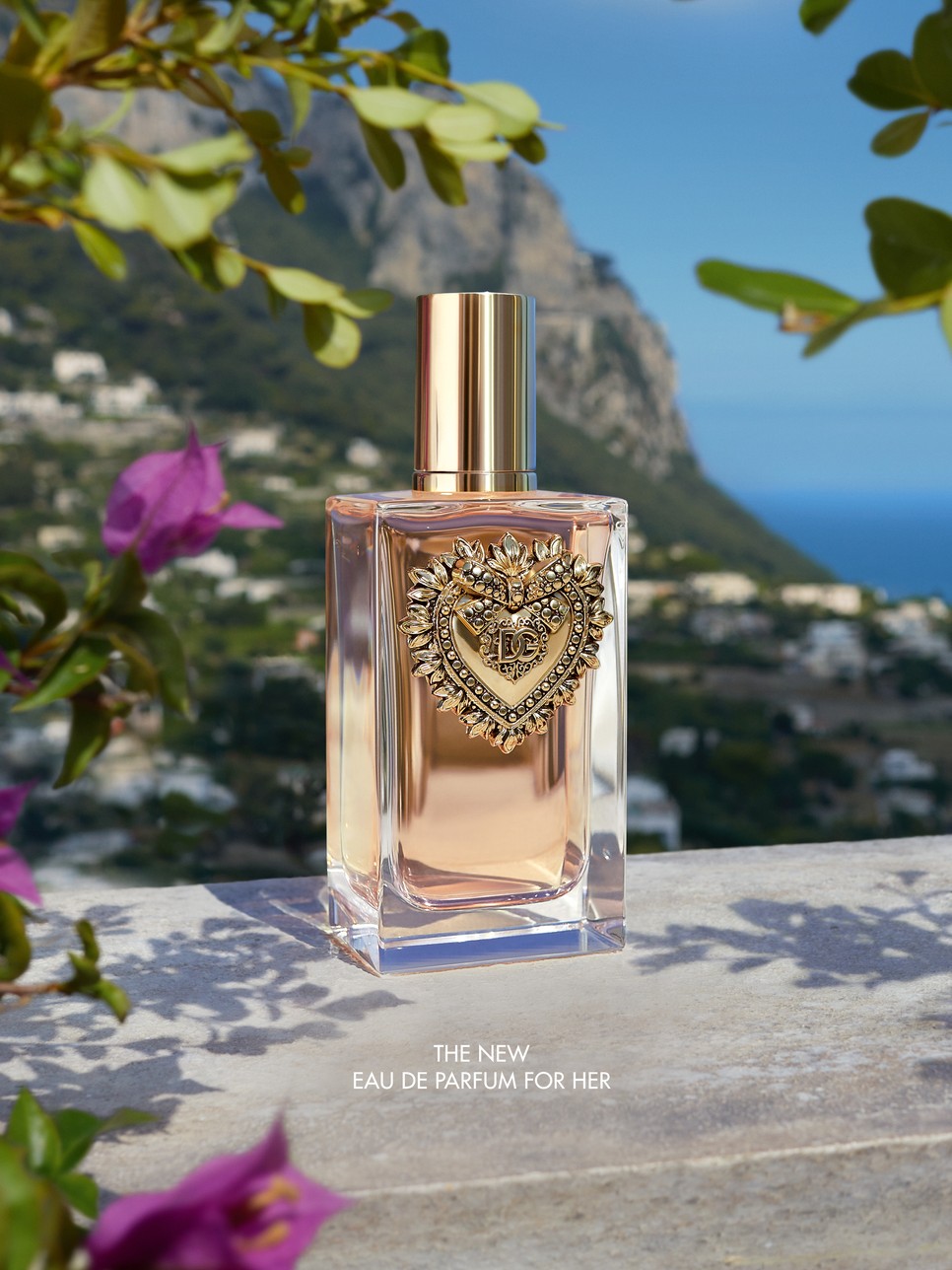 DGB DEVOTION CP FR NO LOGO 0751