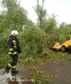 Az egri hivatásos tűzoltók motoros láncfűrésszel távolították el a kidőlt fát / Fotó: Katasztrófavédelem