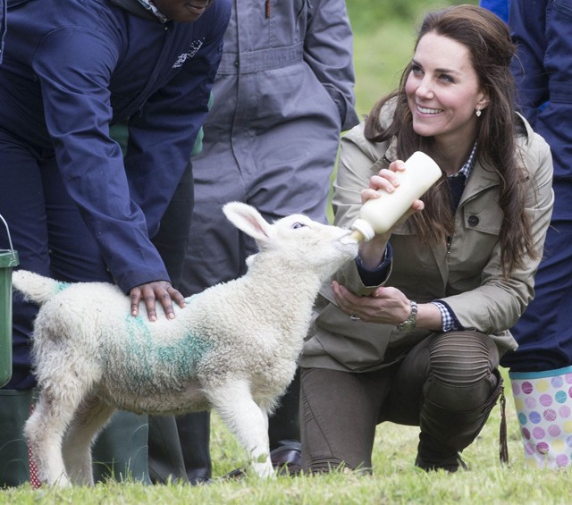 Kate Middleton a tanfarmon