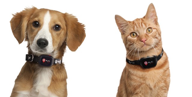 A család minden tagjára gondoltunk! Íme a legmenőbb elektronikai cikkek karácsonyra