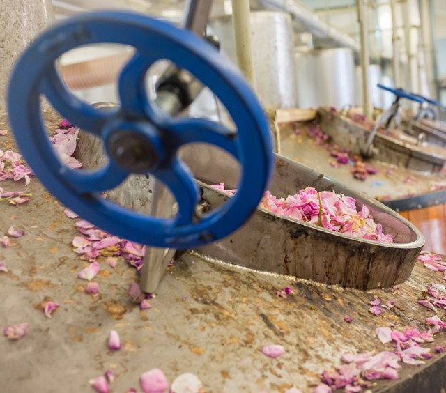 Elképesztő, hogy hogyan kerülnek bele a természetes összetevők szépségápolási termékeidbe