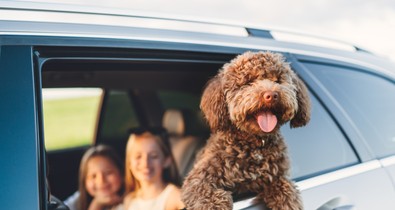 Brutális büntetésekre számíthatsz, ha erre a 3 dologra nem figyelsz, amikor autóval mész külföldre nyaralni