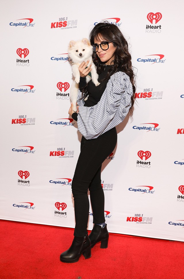 Nem hiszed el milyen cuki társsal érkezett a vörös szőnyegre Camila Cabello