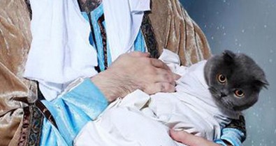 Íme a 10 legviccesebb, leggázabb, legabszurdabb karácsonyi képeslap, amit valaha láttál!