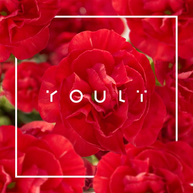 Megjelent Horányi Juli új lemeze!