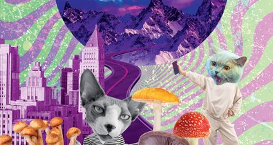 Sokkoló tény, hogy Magyarországon a kényszergyógykezelés még mindig bevált gyakorlat - beszélgetés Básthy Ágnes biopolitikai szakértővel