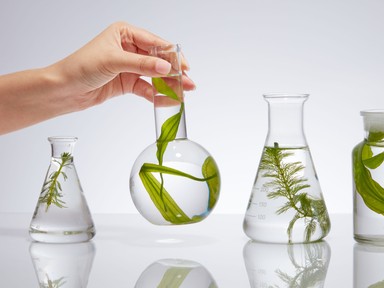 Magyar kozmetikai siker: nemzetközi kutatási projektben a Helia-D fejlesztőcsapata