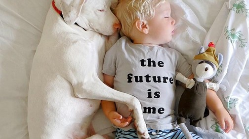 Az örökbefogadott kutyus legjobb barátja ez a kisbaba lett! Csak tőle nem fél!