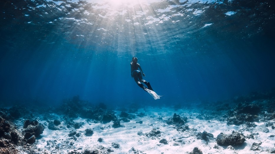 A La Mer a tengeri élőhelyek védelmének érdekében kampányol az Óceánok Világnapján
