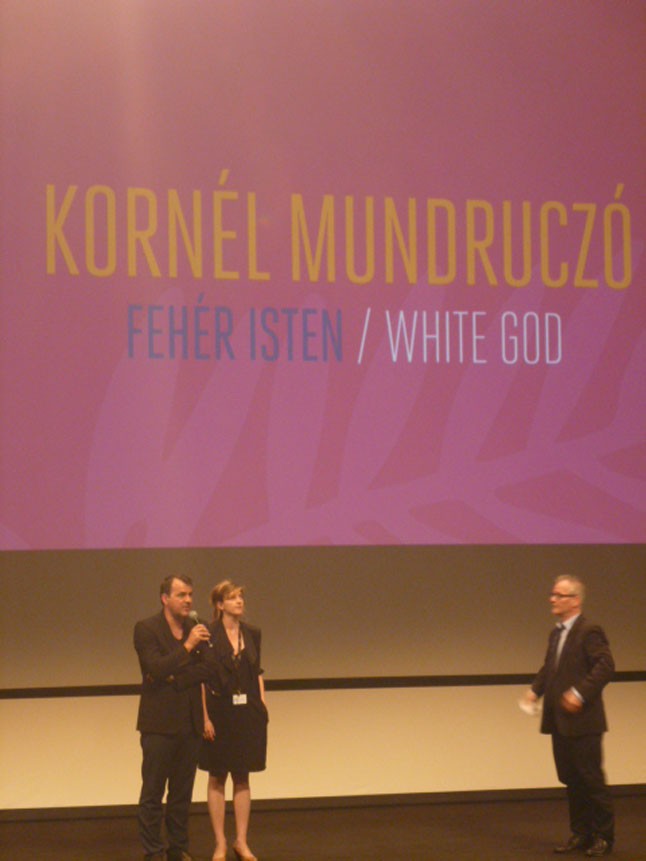 Magyar díjeső és csillogás az amfAR gálán Cannes-ban