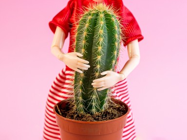 „Kiléptem egy mérgező, bántalmazó kapcsolatból” 