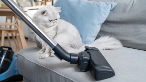 12 hiba, amit konyhai takarítás közben vétesz, és a mikrobiológusok szerint sürgősen le kell velük állnod