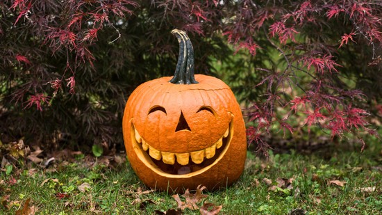 Az ősz gyarmatosítása: hogyan hódította meg a világot a pumpkin spice?