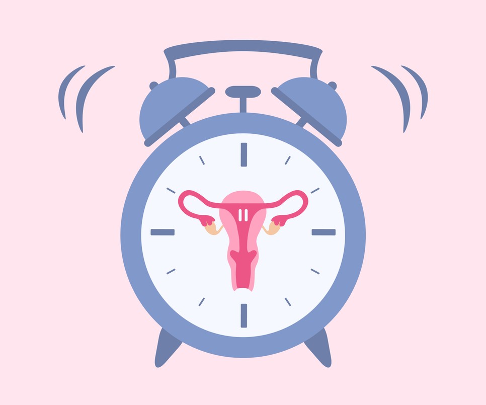 A menstruáció különböző szakaszaiban más és más hormonok veszik át az irányítást, ezért a közérzetünk, energiaszintünk is megváltozik