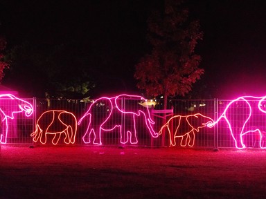 Ezek voltak idén a Sziget Fesztivál legmenőbb fotóhelyszínei