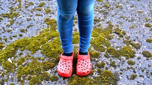 A legmegosztóbb papucs ever: a Crocs lett a home office nyertese!