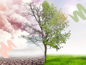 50 nappal hosszabb a nyár, mint a hetvenes években