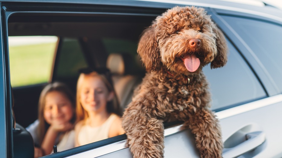 Ezeket semmiképp ne hagyd figyelmen kívül!