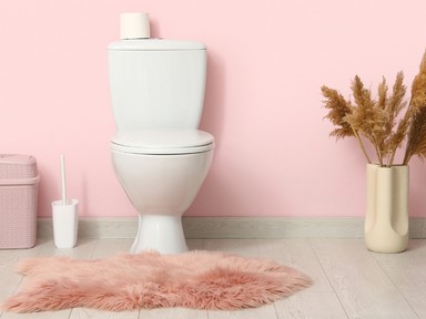 A klasszikus WC kefe a múlt, sokkal higiénikusabb, ha erre az alternatívára váltasz