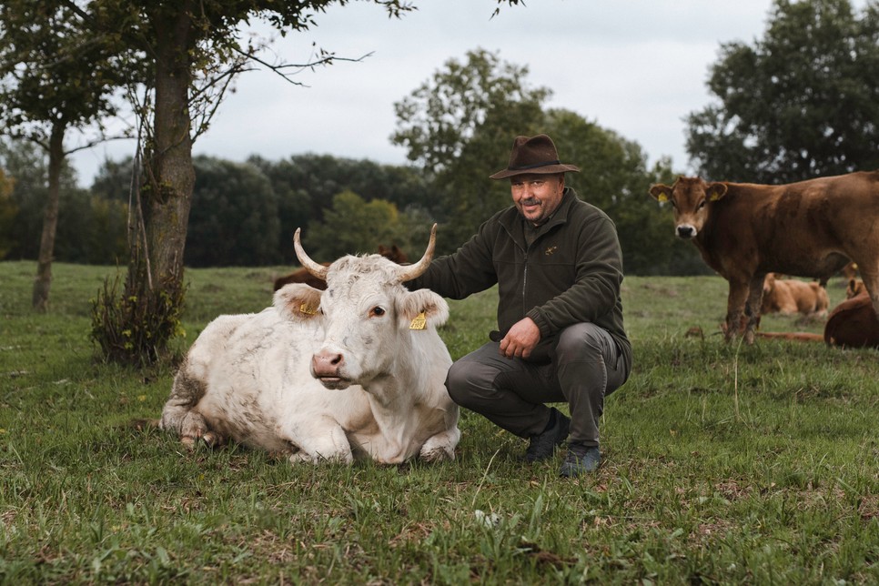 János szarvasmarhatartással foglalkozik a családi gazdaságában