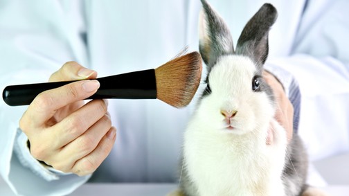 Sajnos a hír nem igaz: továbbra is tesztelhetnek állatokon Kínában