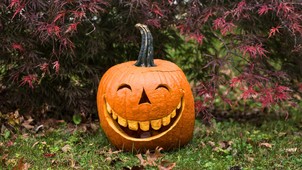 Az ősz gyarmatosítása: hogyan hódította meg a világot a pumpkin spice?