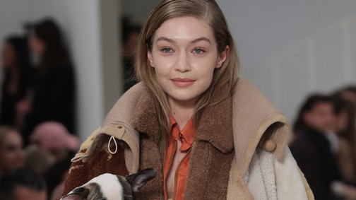 A divathét legcukibb sztárja: az unatkozó kutyus!