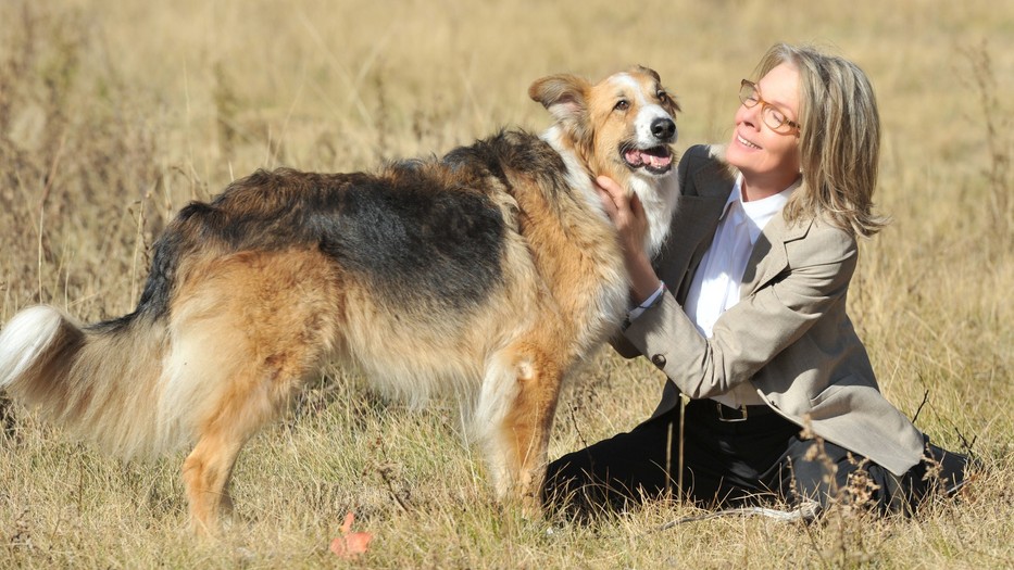 Diane Keaton színésznő szenvedélyesen imádta a kutyákat és a természetet