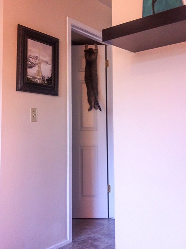 Edzés saját testsúllyal! 