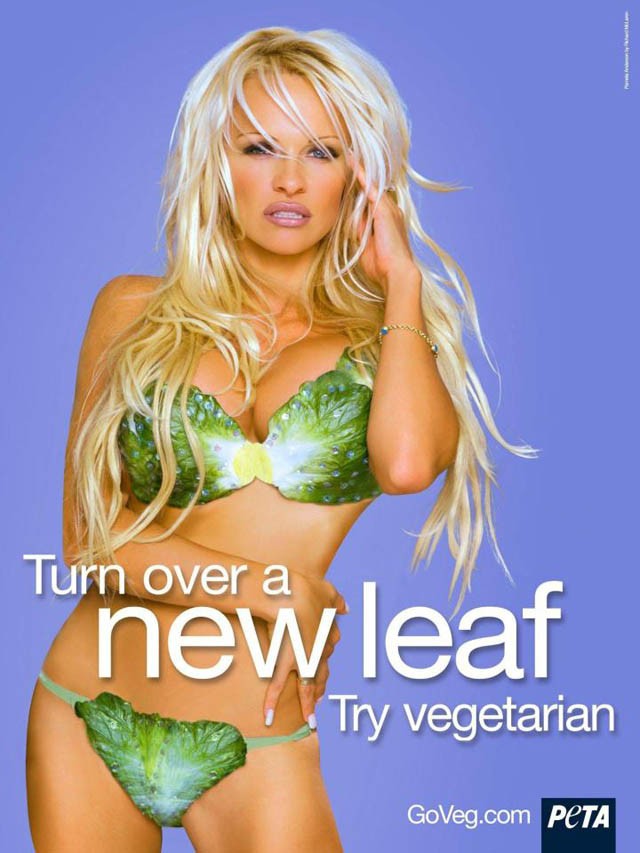 Pamela Anderson Peta