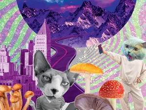 Sokkoló tény, hogy Magyarországon a kényszergyógykezelés még mindig bevált gyakorlat - beszélgetés Básthy Ágnes biopolitikai szakértővel