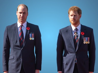 Borzasztóan megalázó helyzetbe került Harry herceg és Vilmos herceg: pont azt nem öröklik édesanyjuktól, ami a legfontosabb volt számára