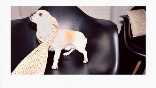 50-80% kedvezménnyel USE unused vásár!