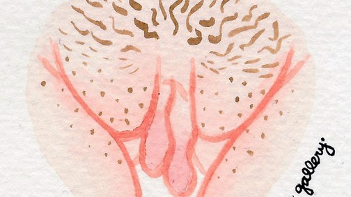 Ezen az Instagram oldalon, csak puncikról készült rajzok vannak, de nagyon fontos üzenete van