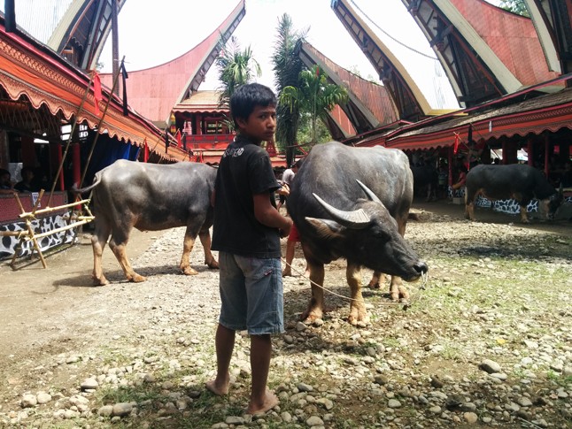 ˝Nem csak egy pillanatnyi kiszakadást jelentett a hétköznapokból, hanem egy ideig magát az életemet˝- Plankó Gergő körbeutazta Kelet-Ázsiát, és egy kicsit mesélt róla
