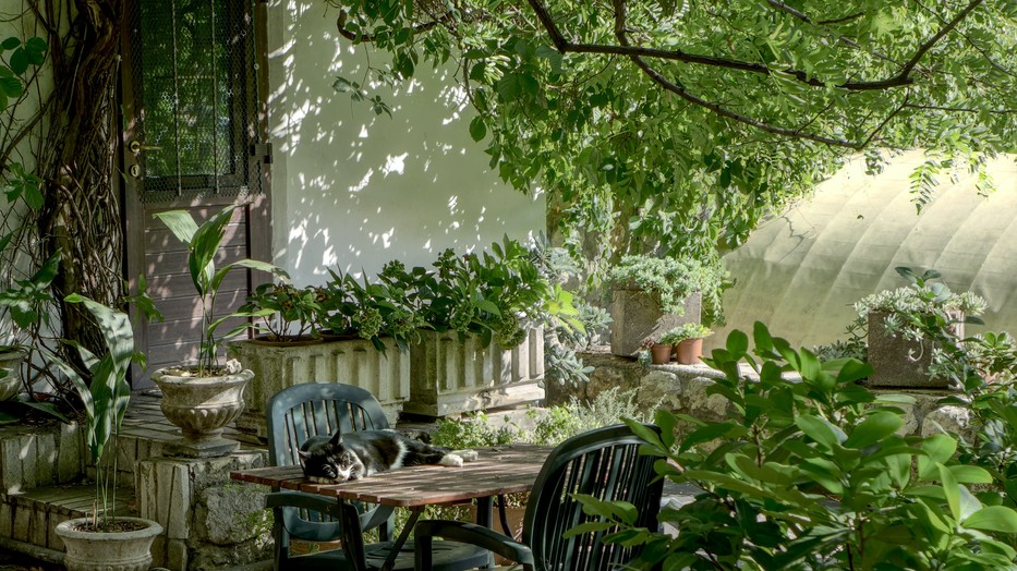 Hogyan segíthet, ha kertészkedünk a szabadban vagy növényeket nevelünk lakásunkban?