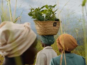Új organikus kávéval rukkolt elő a Nespresso