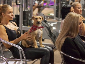 Fehérjével koccintottak a testépítők