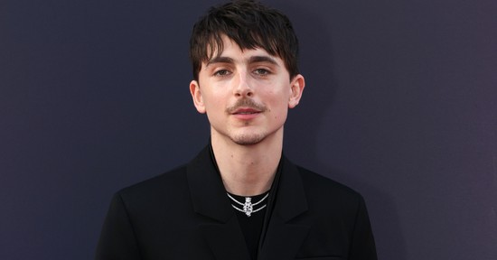 Különös teória terjed Timothée Chalamet-ról, a rajongók próbálják lebuktatni a színészt