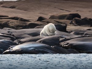 Bár csökkent tavaly a kibocsátás, a felmelegedés folytatódott
