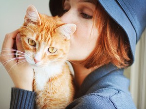 Ezt jelentheti valójában, ha a macskád túl sokat nyávog: szakértő szerint ekkor kell betegségre gyanakodni