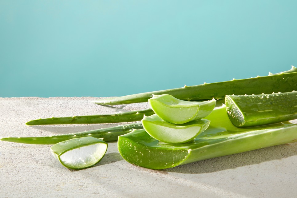 Az aloe vera jótékony hatásai régóta ismertek, mégis meglepően kevesen alkalmazzák a szépségápolási rutinjukban