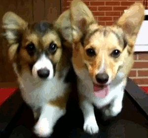 Délelőtt, vagy este érdemes edzeni?