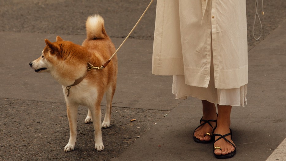 A legjobb nyári papucs és szandál trendek könnyen beépíthetőek a megjelenésbe, és ha még nem találtad meg az igazit, akkor nézz szét a Glamour-napok Summer Week alatt azoknál a márkáknál, ahol kedvezményesen veheted meg a legjobb darabokat