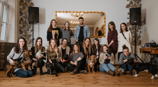 Menj koncertre és ments meg egy örökbefogadásra váró kiskutyát