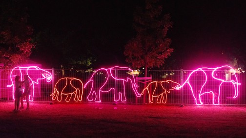 Ezek voltak idén a Sziget Fesztivál legmenőbb fotóhelyszínei