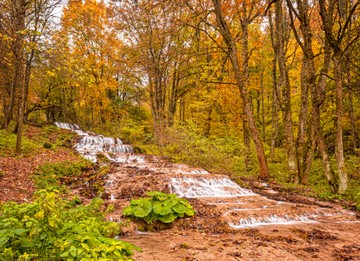 Ősszel káprázatos színekben pompázik a Bükk
