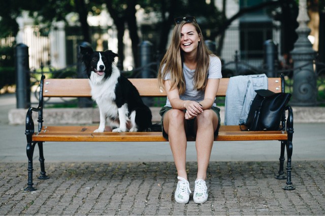 Ilyen a nap, amikor nincs egy kutya sem...