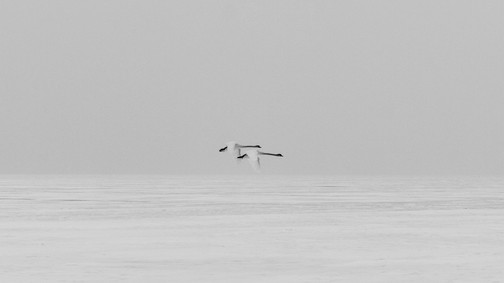 Magyar tájak, ahogy még sosem láttad őket: Ismerd meg Herczeg Kinga fotóst
