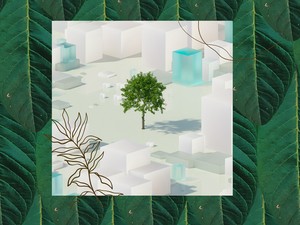 10 tény, amit tudnod kell a fák szerepéről